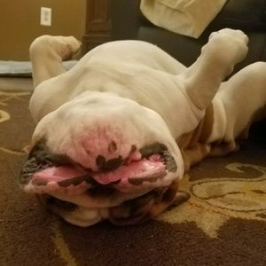 Meet your Posher, William